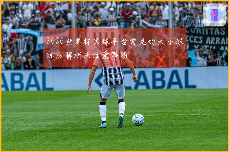2026世界杯买球平台常见的大小球玩法解析及注意事项