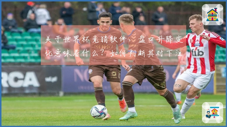 关于世界杯竞猜软件，盘口升降变化意味着什么？如何判断其对下注策略的影响？