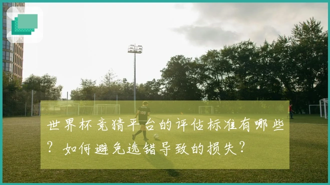 世界杯竞猜平台的评估标准有哪些？如何避免选错导致的损失？