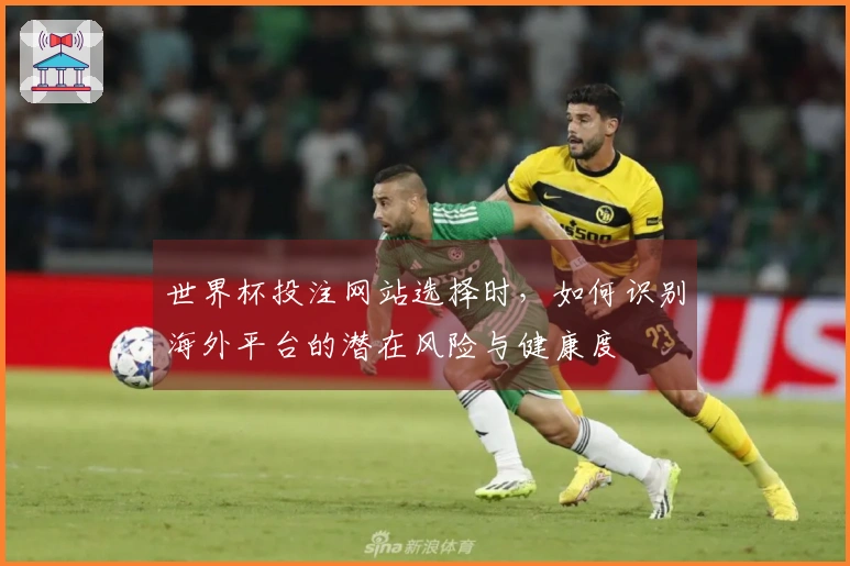 世界杯投注网站选择时，如何识别海外平台的潜在风险与健康度